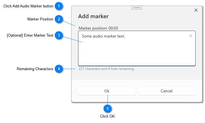 Add Audio Marker