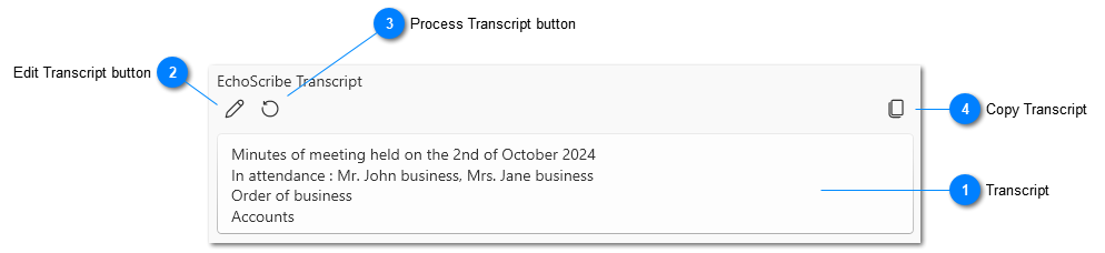 EchoScribe Transcript